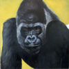 Harambe